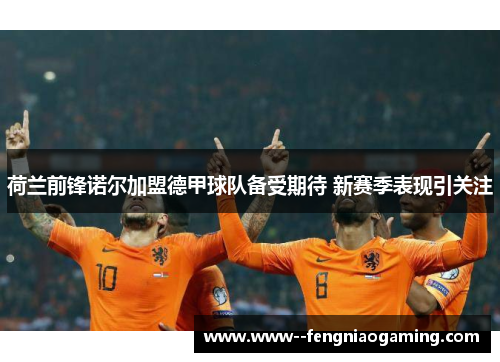 荷兰前锋诺尔加盟德甲球队备受期待 新赛季表现引关注