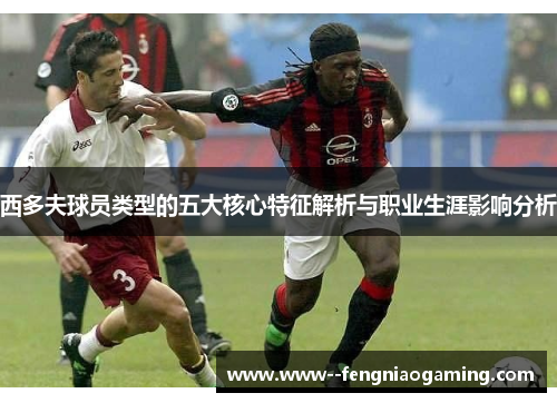 西多夫球员类型的五大核心特征解析与职业生涯影响分析 西多夫球员类型的五大核心特征解析与职业生涯影响分析