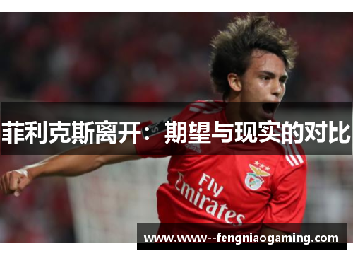 菲利克斯离开：期望与现实的对比