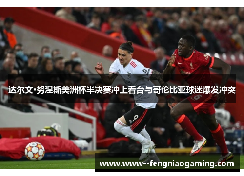 达尔文·努涅斯美洲杯半决赛冲上看台与哥伦比亚球迷爆发冲突