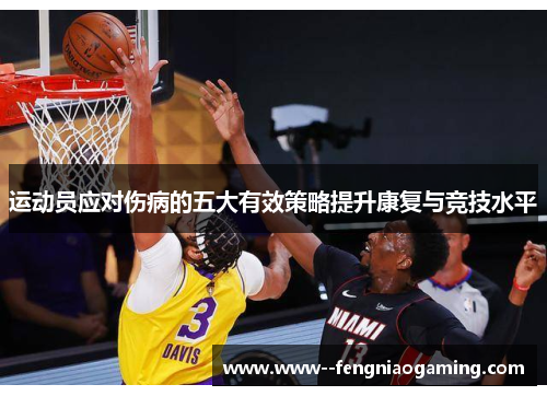 运动员应对伤病的五大有效策略提升康复与竞技水平